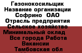 Газонокосильщик › Название организации ­ Софрино, ОАО › Отрасль предприятия ­ Сельское хозяйство › Минимальный оклад ­ 1 - Все города Работа » Вакансии   . Тамбовская обл.,Моршанск г.